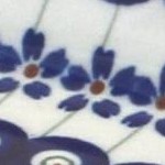 flowering peacock