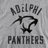 Adelphi University Official Panthers Logo Adult Pull-Over Hoodie, Athletic Heather - image 2 of 4