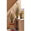 tagltd Redwood Grass - 3 of 4