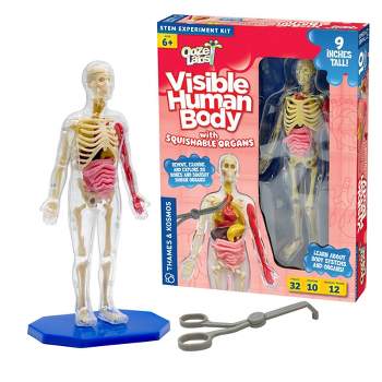 Thames & Kosmos Ooze Labs Visible Human Body with Squishable Organs Science Kit