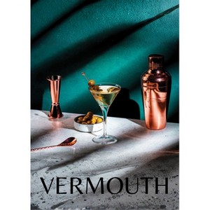 Vermouth - by  Sean Ryan (Hardcover) - 1 of 1