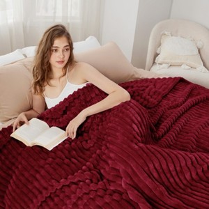 Bedsure | Indulge in Comfort Bed Blanket with Unique Chunky Corduroy Texture - 1 of 4