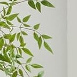 deep walnut foot | teddy fur | beige