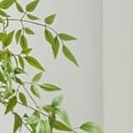 deep walnut foot | linen | gray