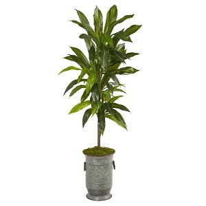 Nearly Natural 4-ft Dracaena Artificial Plant in Vintage Metal Planter (Real Touch) - 1 of 3