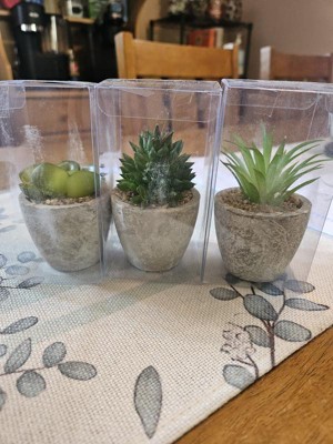  EBUYOM 2 PCS Artificial Succulents Plants Real Touch Lifelike  Succulants Plants Faux Greenery Plants Garden DIY Home Office Decoration  Ornament (Air Plant) : Home & Kitchen