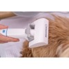 Equator 2.5L/120V Advanced Pet Groomer w/ Adjustable Clipping Comb and Detachable Hose - 3 of 4