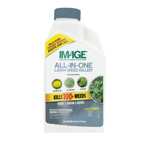 Image All-In-One Lawn Weed Killer Selective Herbicide Concentrate, 24oz - 1 of 1