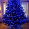 Twinkle Star 33FT 150 Incandescent Mini String Lights, UL Certified Indoor & Outdoor Lights for Christmas and Decoration - 2 of 4