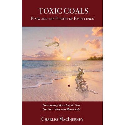 Toxic Goals, Flow and the Pursuit of Excellence - by  Charles Macinerney (Paperback)