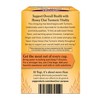 Yogi Tea - Honey Chai Turmeric Vitality Tea - 16ct - image 2 of 4