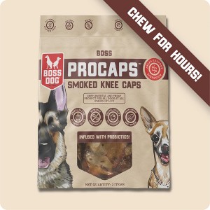 Boss Dog Procaps Dental Chew w/ Probiotics - 1 of 4