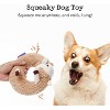 Fuzzwoof Alpaca Squeaky Plush Circle Dog Toy , Ultra-soft Fur with Built-in Ring Squeaker, Stuffedless Chew Toy , Interactive for All Breeds Sizes - 3 of 4