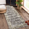 Machine Washable Area Rug Vintage Floral Non Slip Rug Foldable Stain Resistant Rugs Distressed Low Pile Indoor Carpet for Bedroom Living Room - 2 of 4