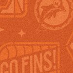miami dolphins