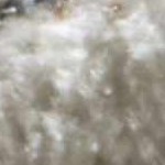 white, gray, black, mediumbrown, lightbeige, darkbrown
