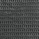 charcoal
