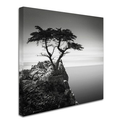 Trademark Fine Art -Dave MacVicar 'The Lone Cypress' Canvas Art