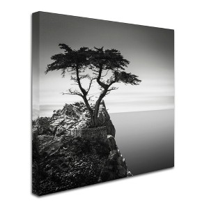 Trademark Fine Art -Dave MacVicar 'The Lone Cypress' Canvas Art - 1 of 3