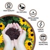 Plantonix Coco Bliss Premium Organic Coconut Coir Pith 250 Gram Bricks for Home Gardening, Potted Plants, Landscaping, and More (70 Pack) - 4 of 4