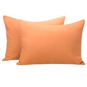 2 Pack Brushed Microfiber Zippered Toddler Pillowcases, Super Soft and Cozy Travel Pillow Cases - NTBAY - 1 of 4
