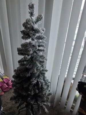 Guest review image 2 of 2, zoom in