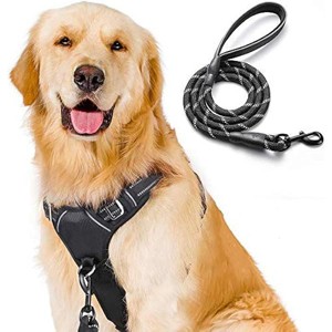 rabbitgoo No-Pull Dog Harness Leash Set Heavy Duty Halter Harness with Leash for Large Dogs Reflective , Large, Black - 1 of 1