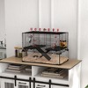 PawHut 31" Hamster Cage with Tube Tunnel, Rat Gerbil Cage w/ Deep Glass Bottom, Water Bottle, Food Dish, Exercise Wheel, Ramps - 2 of 4