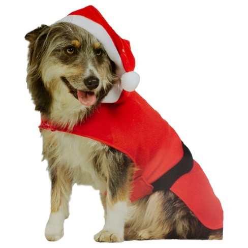 Dog in shop santa costume