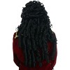 HalloweenCostumes.com One Size Fits Most   Elite Captain Hook Wig, Black - 2 of 3