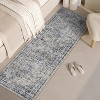 Acekool Abstract Area Rug, Washable Non-Slip Low Pile Carpet for Living Room Bedroom Kitchen, Soft Modern Distressed Accent Rug - 3 of 4