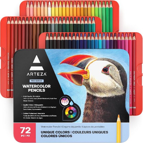 Nuvo Watercolor Pencil Set Of 12 - Professional Premium Quality Artist  Drawing Colored Pencils - Pastel Highlights : Target