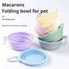 Chery Life 350ml Portable Foldable Travel Bowl for Cats Dogs, Lightweight, Space-Saving Pet Feeding Drinking, Outdoor Use - 3 of 4