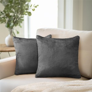 PAVILIA Set of 2 Throw Pillow Covers, Decorative Velvet Square Cushion Cases for Bed Sofa Couch Bedroom Living Room - 1 of 4