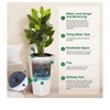 Modern Diamond Planters - 2-Pack featuring self-watering system, drain holes and water monitor. Ideal for indoor and outdoor use. - 3 of 4