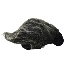 Collectible Wildlife Gifts | Porcupine, Very Nice Plush, Stuffed Animal, Educational, Toy, Kids, Realistic Figure, Lifelike Model, Replica, Gift, 13 - 1 of 1