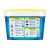 Oxiclean Bucket : Target