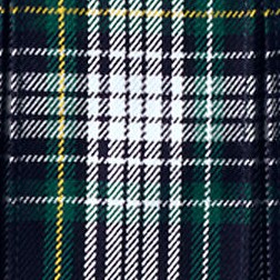 white/evergreen plaid