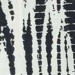 pigment