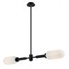 Troy Lighting Annex 2 - Light Island Pendant Light in  Anodized Black Opal White Shade - 2 of 3
