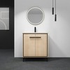Single Sink Bathroom Vanity, With 2 Soft Closing Doors, Bathroom Vanity With Top Sink, Modern Bathroom Storage Cabinet - 3 of 4