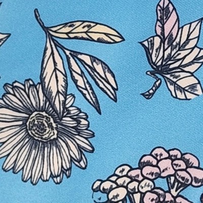 sky blue and white