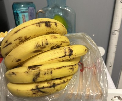 Guest review image 1 of 1, zoom in