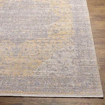 Neo Traditional Gray and Beige Polyester Area Rug 5'3" x 7'