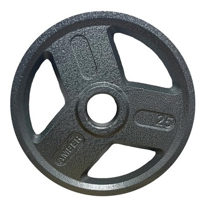 Amber Fight Gear Triple-Grip Weight Plates, Durable Cast Iron for Strength Training, Ideal for Squats, Deadlifts, Bench Press, Pair (25 lbs)