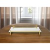 HomeRoots 16" Mirror and Gold Rectangular Glass Vanity Tray - 2 of 4