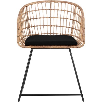 Grayham Rattan Lounge Chair Black - Finch