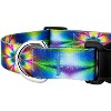 Country Brook Petz Deluxe Dog Collar - Groovy Collection - 4 of 4