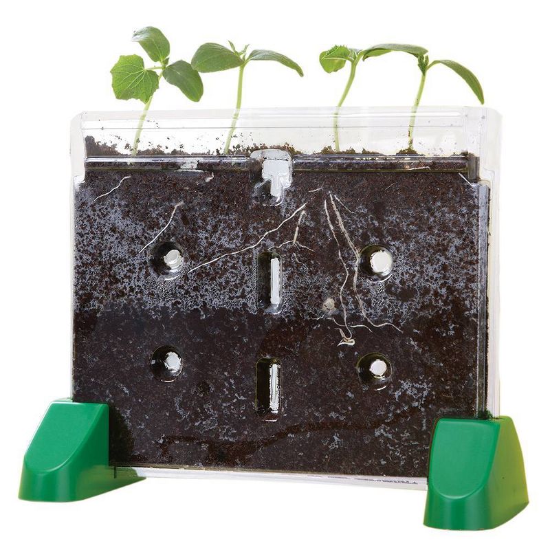 Educational Insights Sprout And Grow Window, 5 of 7