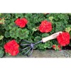 Tierra Garden 5 Tine Cultivator - 3 of 4